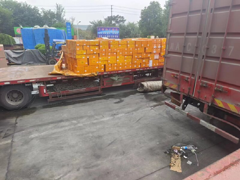 天津到沙依巴克區(qū)貨運(yùn)公司